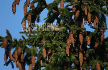 EA271798, Eastpress, Porvoo, Finland